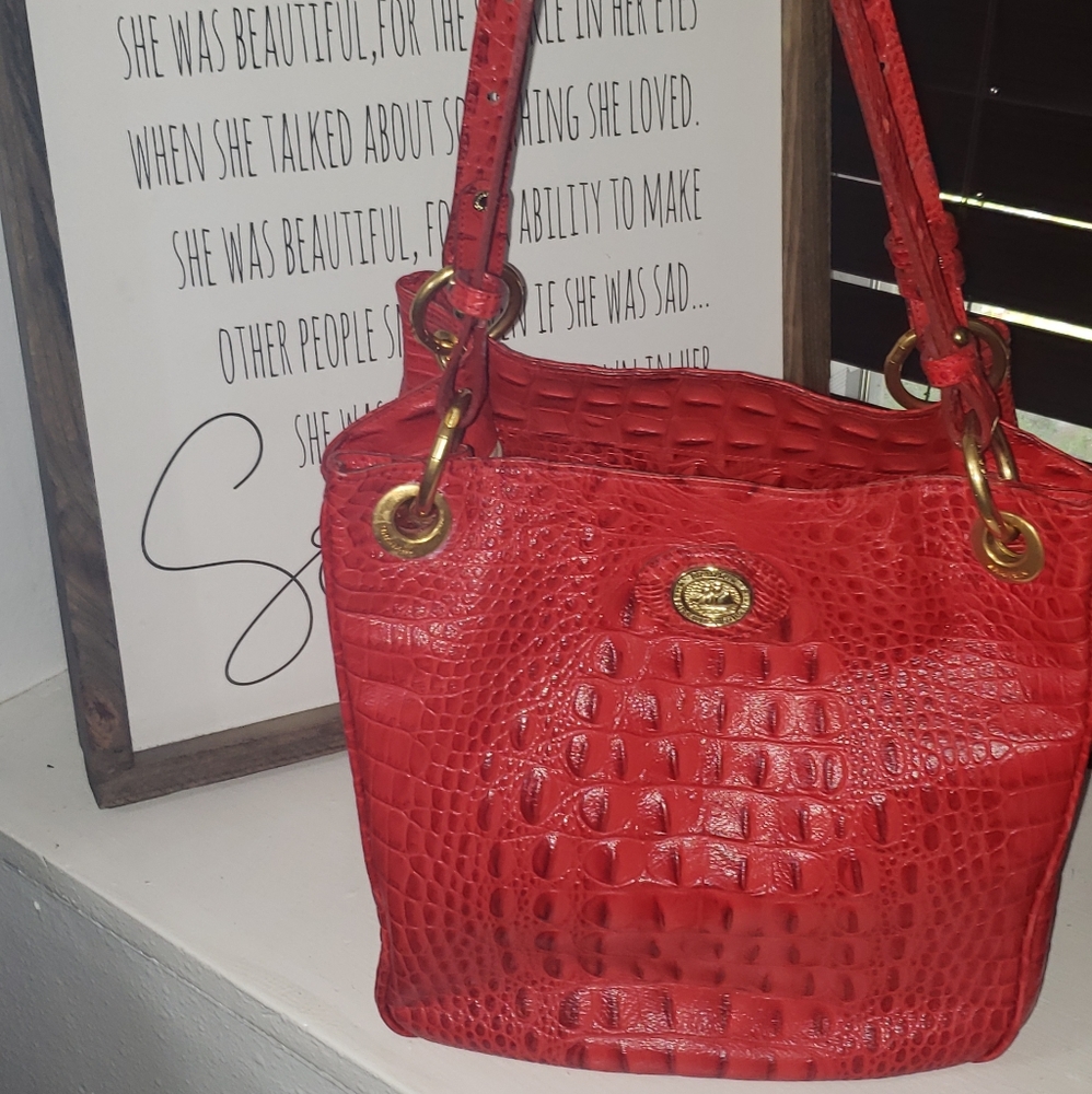 Sassy Brahmin bag